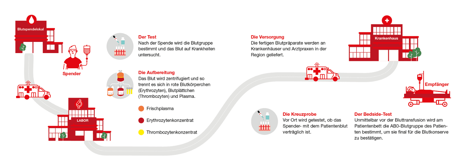 Schematischer Ablauf des Wegs des Blutes nach einer Blutspende.